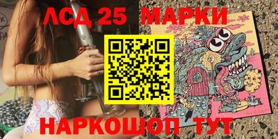 амф Сланцы