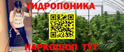 твердый Славгород