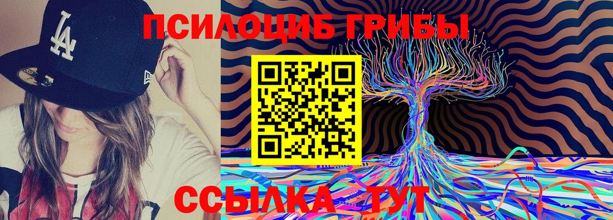Псилоцибиновые грибы Magic Shrooms  Вход с VPN  Архангельск 